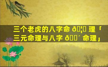三个老虎的八字命 🦟 理「三元命理与八字 🌴 命理」